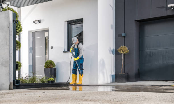 Best Driveway Pressure Washing  in Melbourne, AR